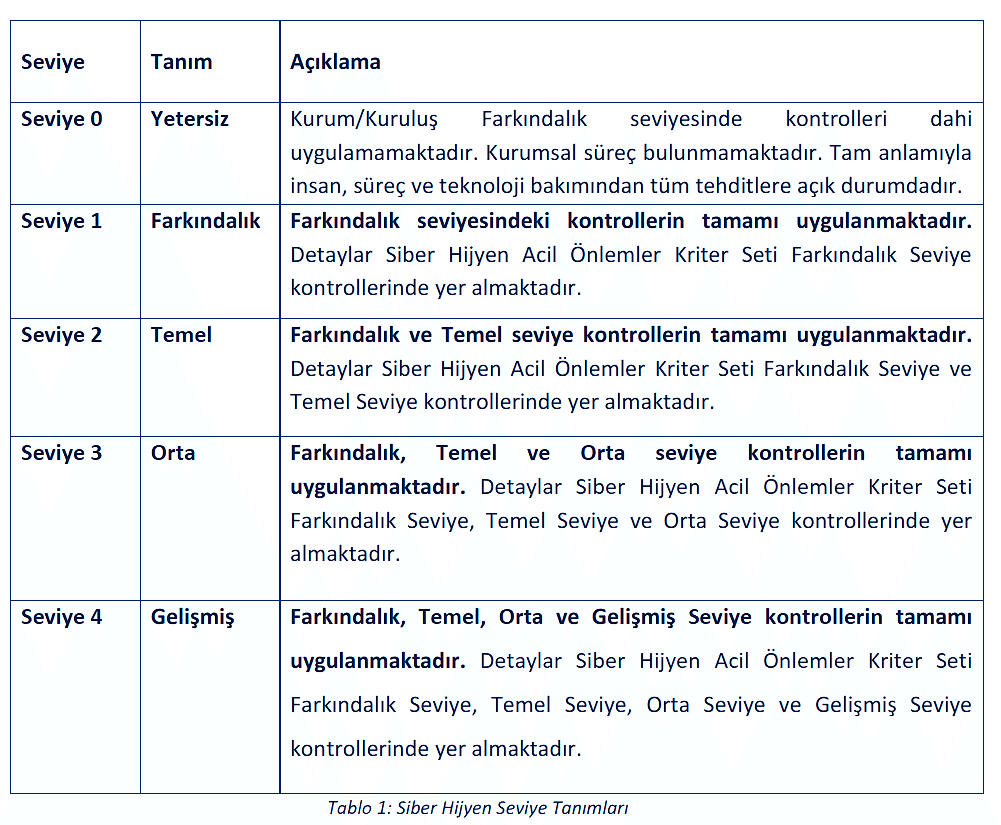 Siber hijyen görseli